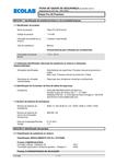 Ficha de Dados de Segurana PT